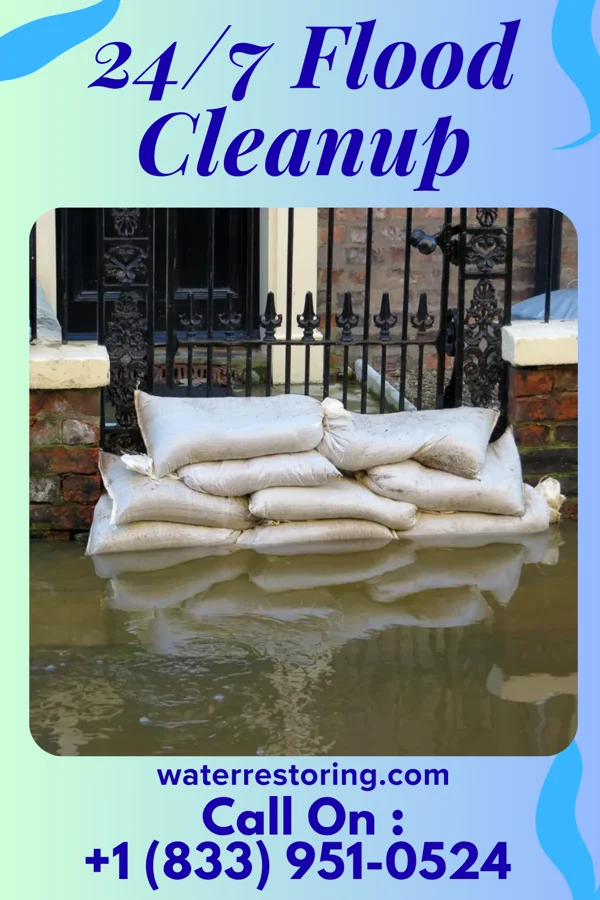 24/7 Flood Cleanup in Friendly, WV