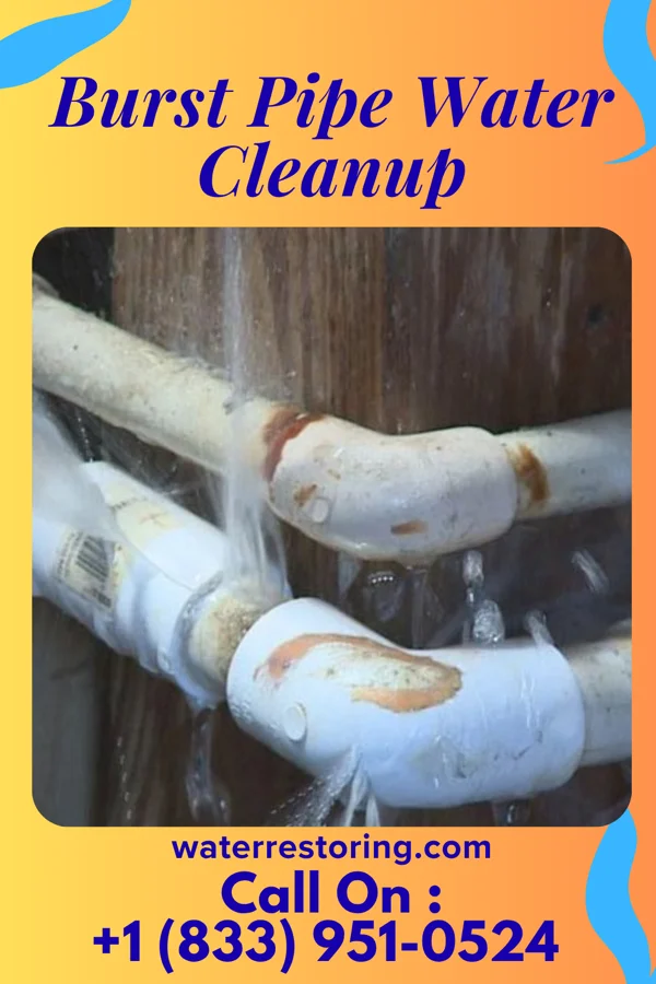 Burst Pipe Water Cleanup in Friendly, WV