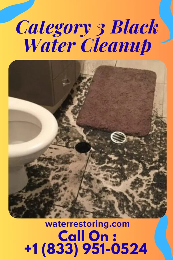 Category 3 Black Water Cleanup in Friendly, WV