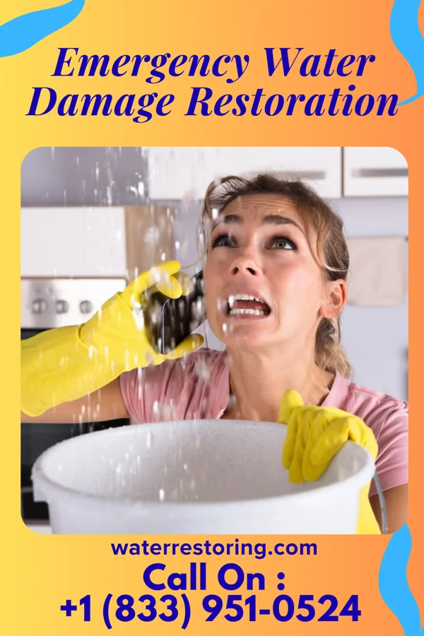 Emergency Water Damage Restoration in Friendly, WV
