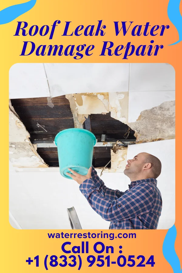 Roof Leak Water Damage Repair in Friendly, WV