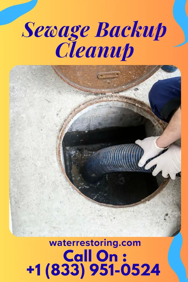 Sewage Backup Cleanup in Friendly, WV