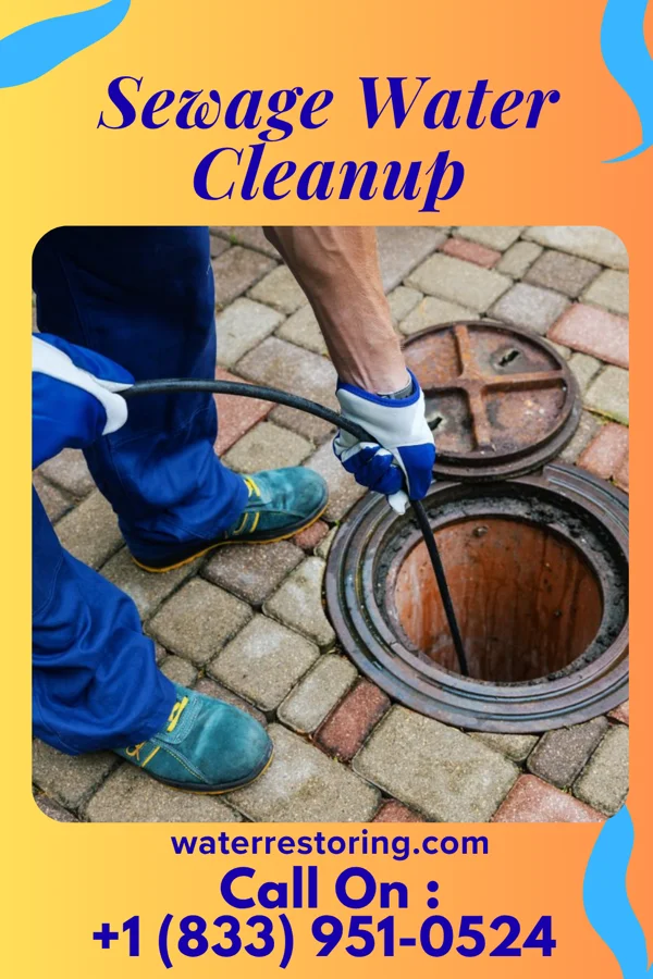 Sewage Water Cleanup in Friendly, WV