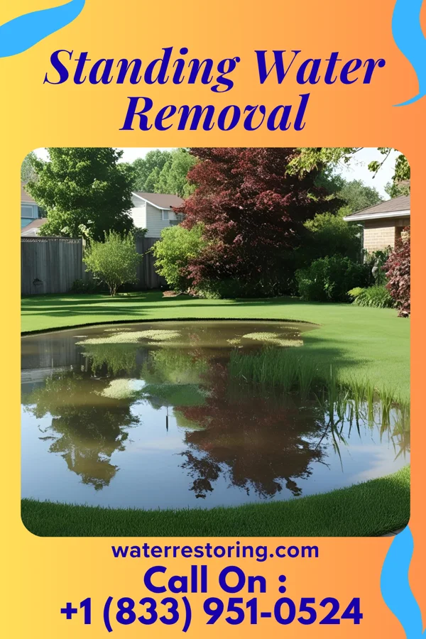 Standing Water Removal in Friendly, WV